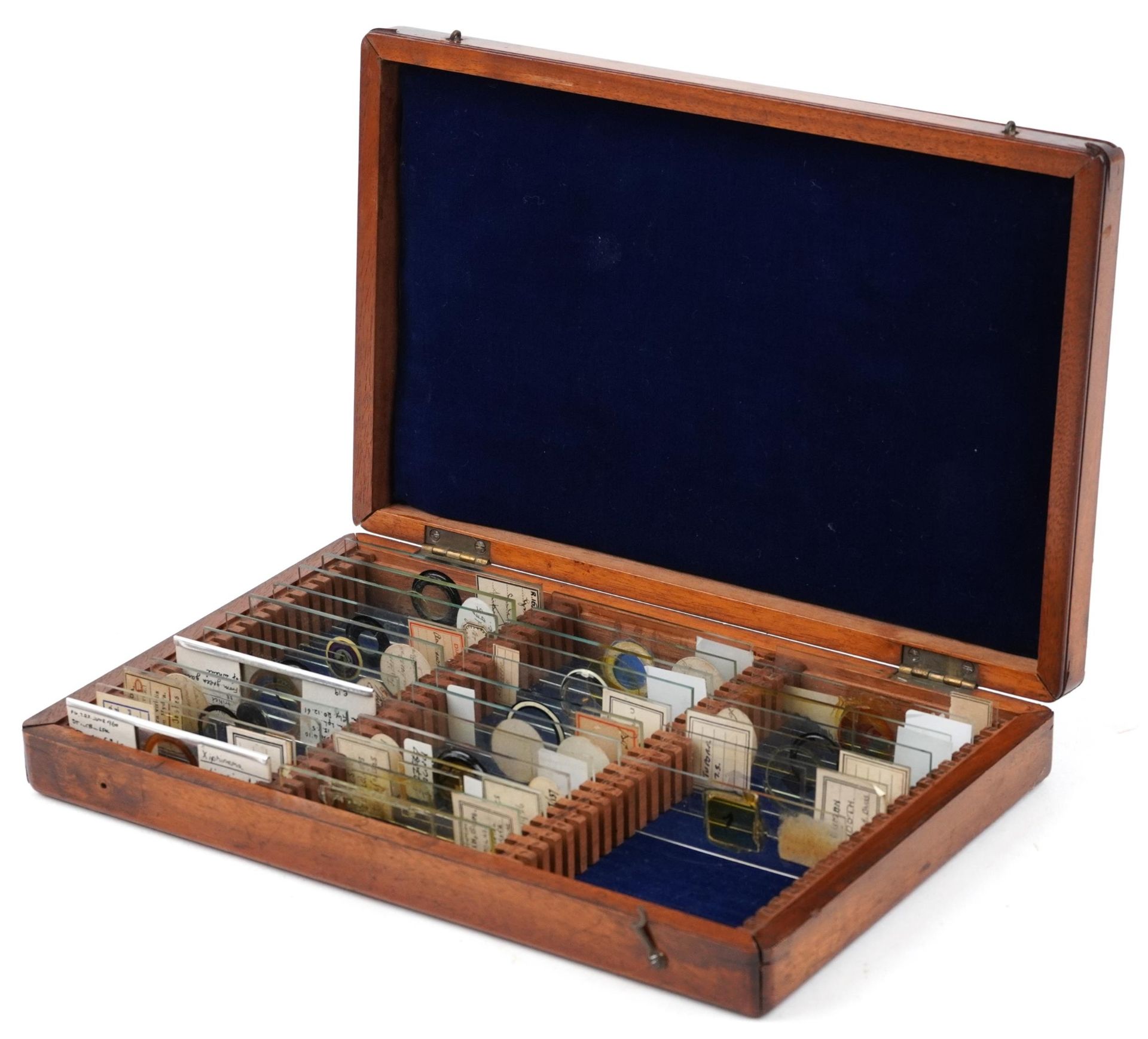 Collection of early 20th century scientific interest microscope prepared glass slides including W