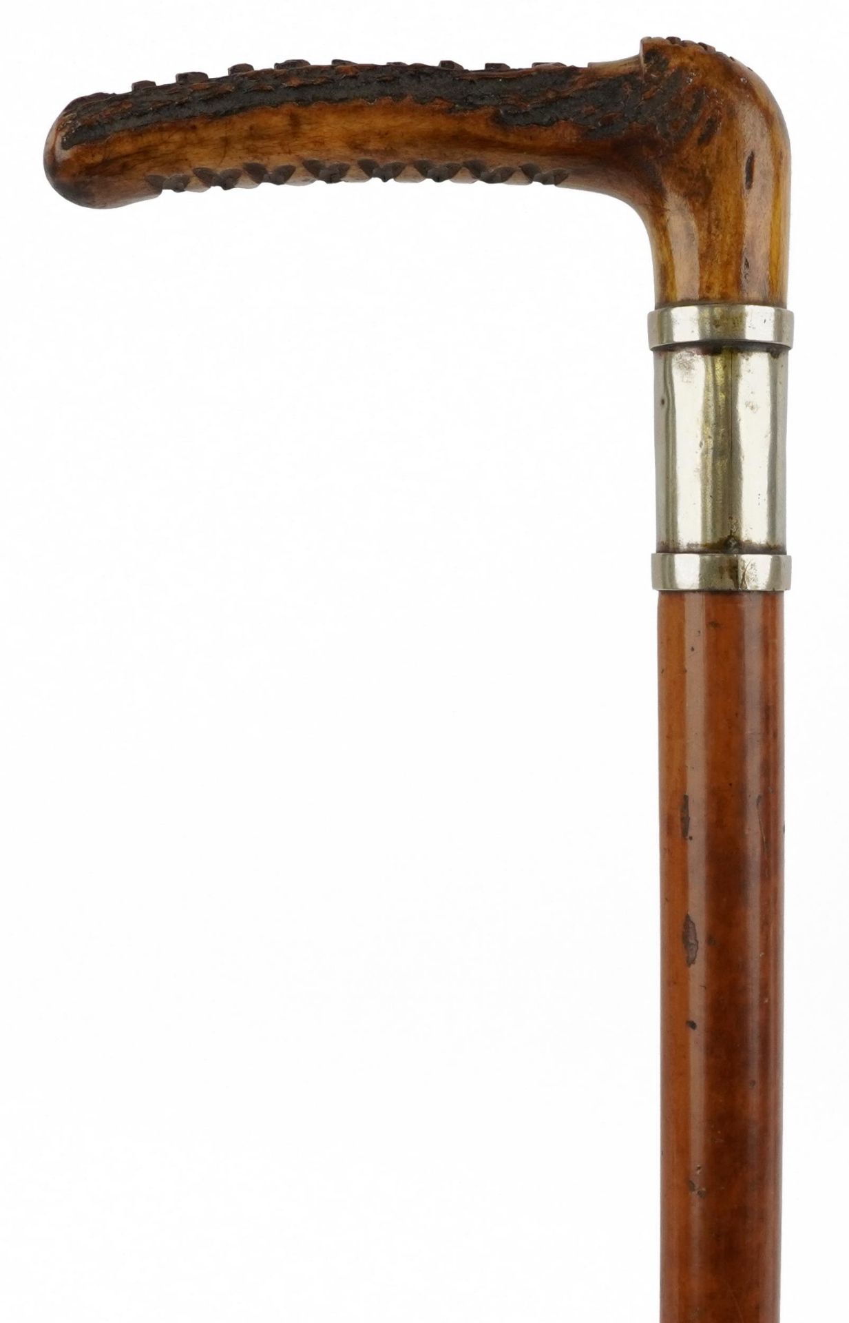 Victorian malacca riding crop with staghorn handle, 57cm in length : For further information on this