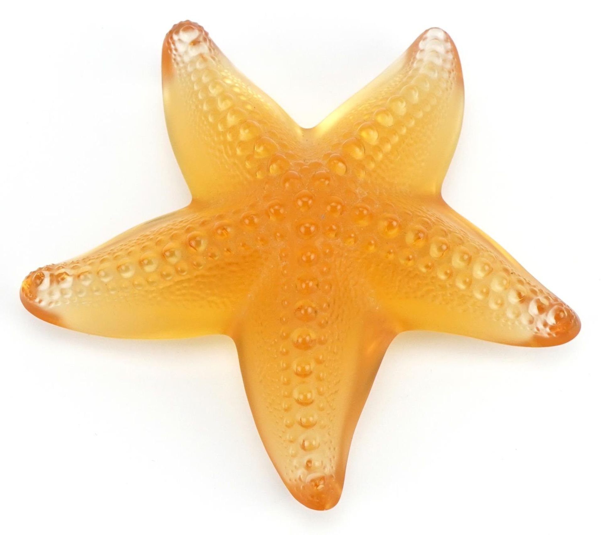 Lalique, French frosted and clear amber glass starfish paperweight etched Lalique France, 10.5cm - Image 2 of 4