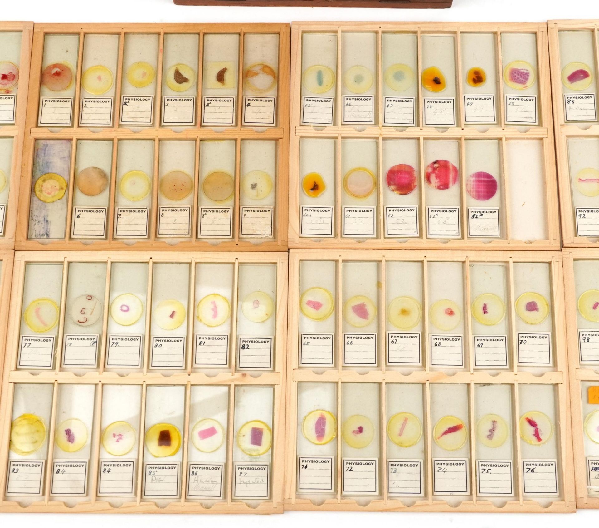 Collection of over one hundred scientific interest physiology microscopen prepared glass slides - Bild 3 aus 12