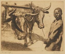 Dorothy Kay - Boy with two bulls, pencil signed black and white etching, Hallis & Co, Main Street,