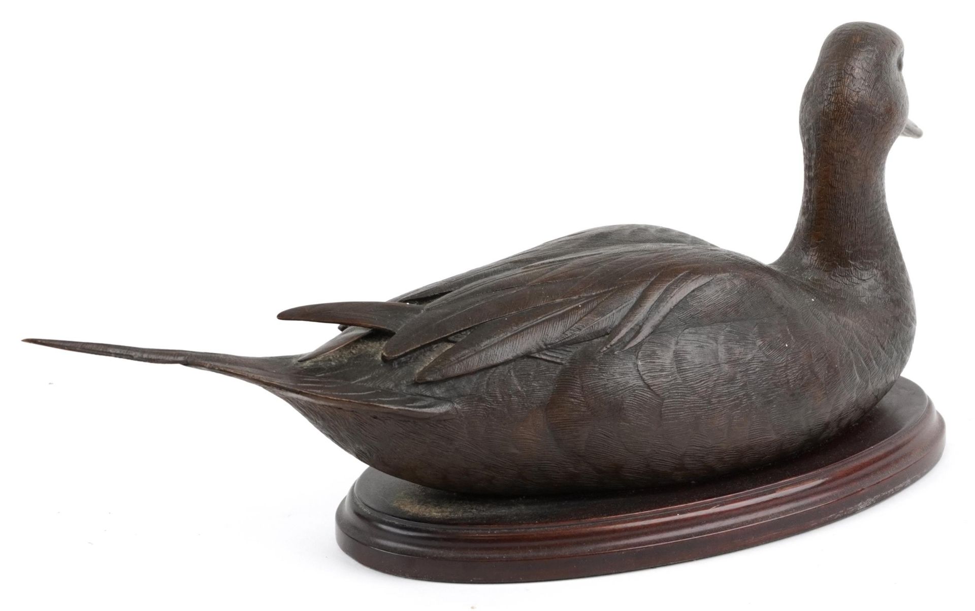 Valentine Bennett, large contemporary patinated bronze Pintail duck raised on an oval mahogany base, - Image 2 of 3