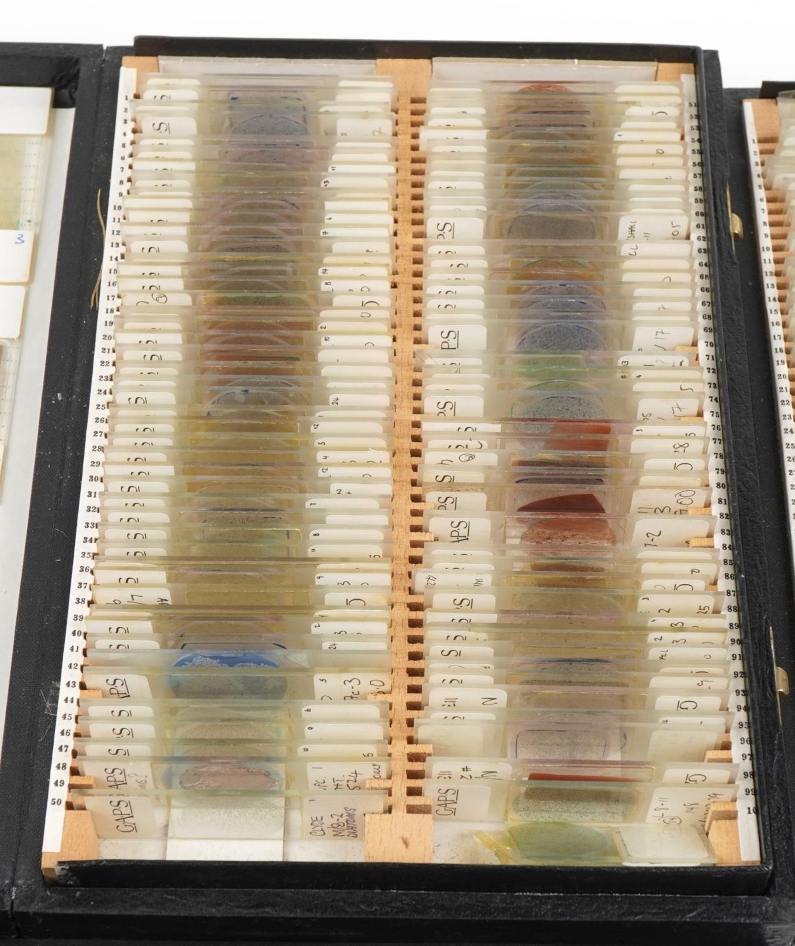 Large collection of scientific microscopic prepared glass slides arranged in four cases including - Image 4 of 7