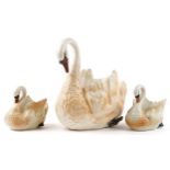 Three hand painted ceramic planters in the form of swans, the largest 44cm in length : For further