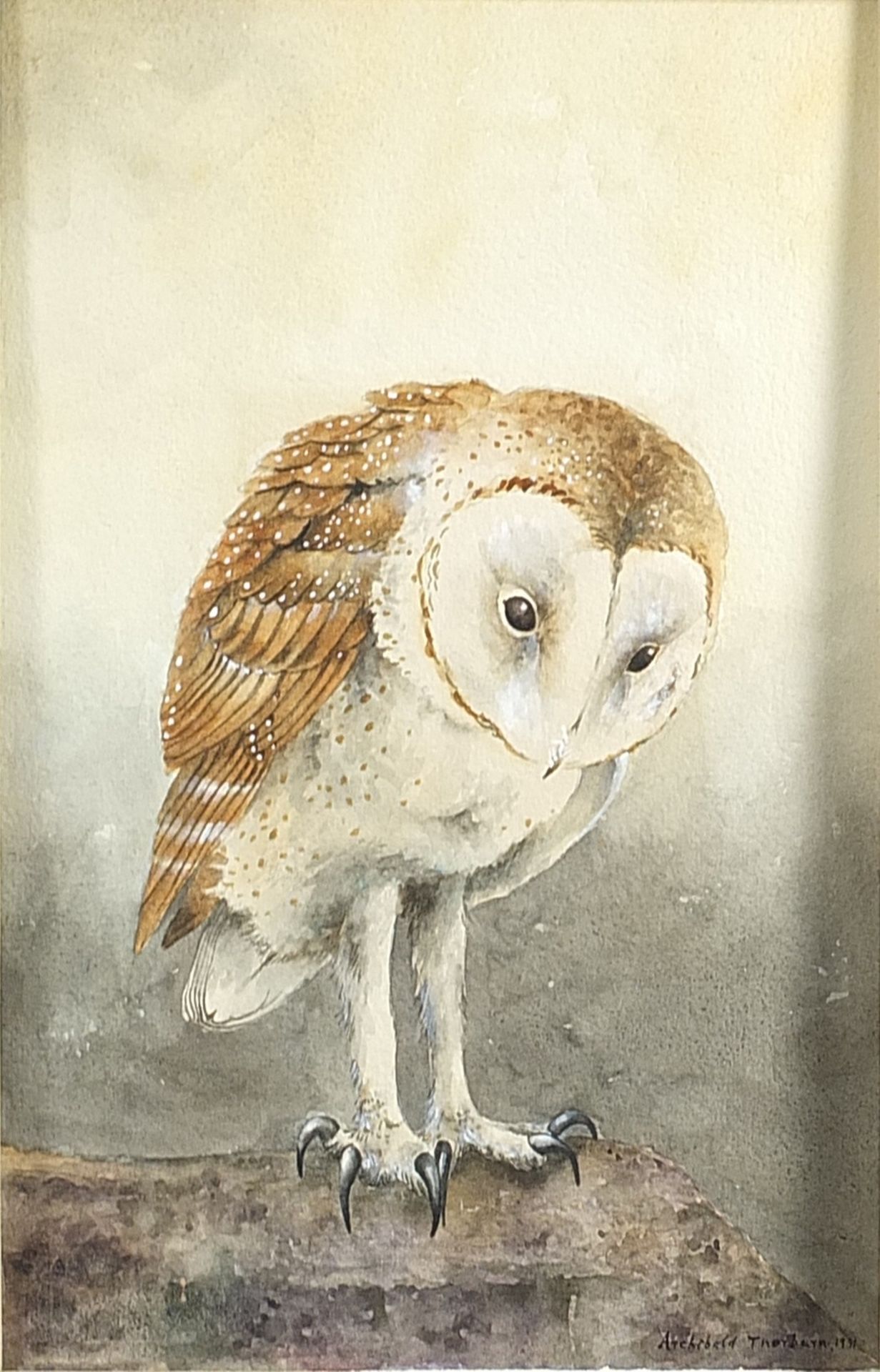 Manner of Archibald Thorburn - Portrait of an owl, heightened watercolour on card, mounted,