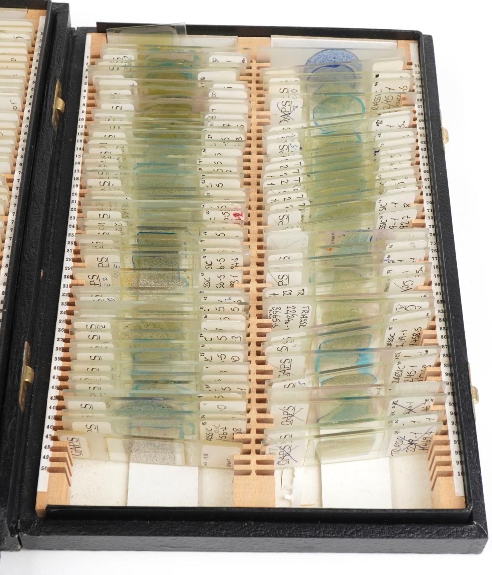 Large collection of scientific microscopic prepared glass slides arranged in four cases including - Image 5 of 7
