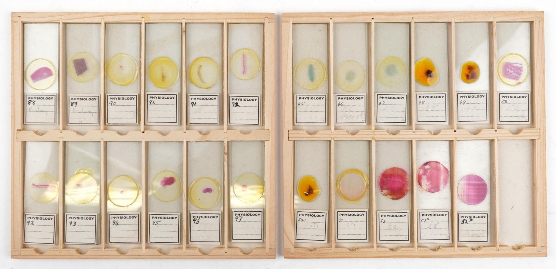 Collection of over one hundred scientific interest physiology microscopen prepared glass slides - Bild 9 aus 12