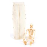 Scrimshaw style carved bone skeleton housed in a bone coffin with lift off lid, the coffin 11.5cm in