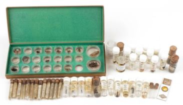 Collection of natural history and taxidermy interest insects housed in test tubes and pots, some
