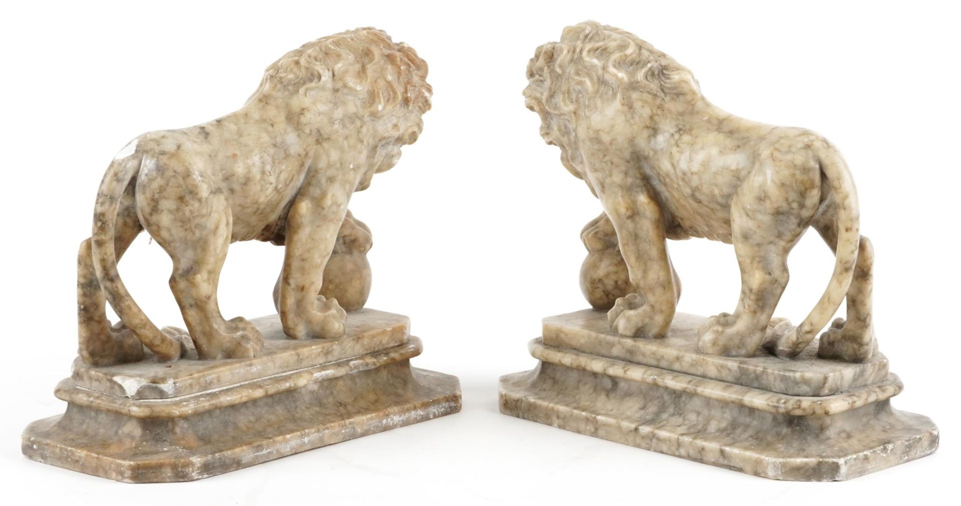 Pair of Grand Tour carved alabaster lions, each 24.5cm in length : For further information on this - Bild 2 aus 3