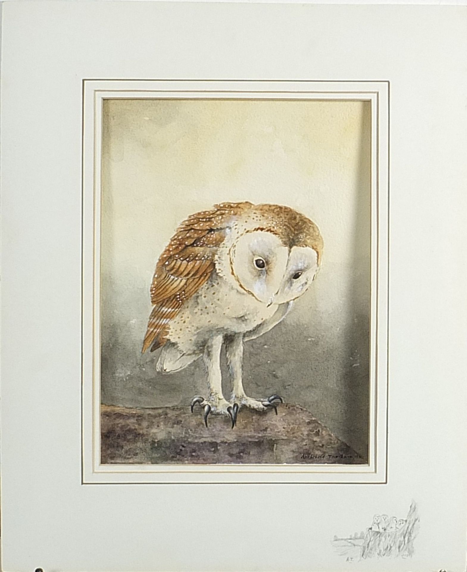 Manner of Archibald Thorburn - Portrait of an owl, heightened watercolour on card, mounted, - Image 2 of 5