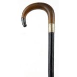 Ebonised walking stick with horn handle and silver mount, the horn handle possibly rhinoceros,