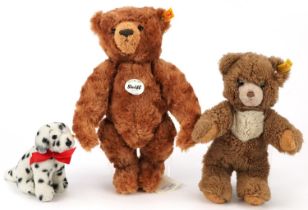 Three Stieff teddies comprising two bears and a dog, the largest 30cm high : For further information