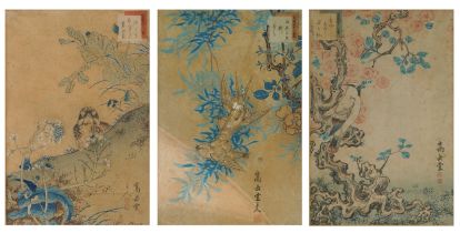 Birds of paradise amongst flowers, three 19th century Japanese woodblock prints, mounted, framed and