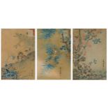 Birds of paradise amongst flowers, three 19th century Japanese woodblock prints, mounted, framed and