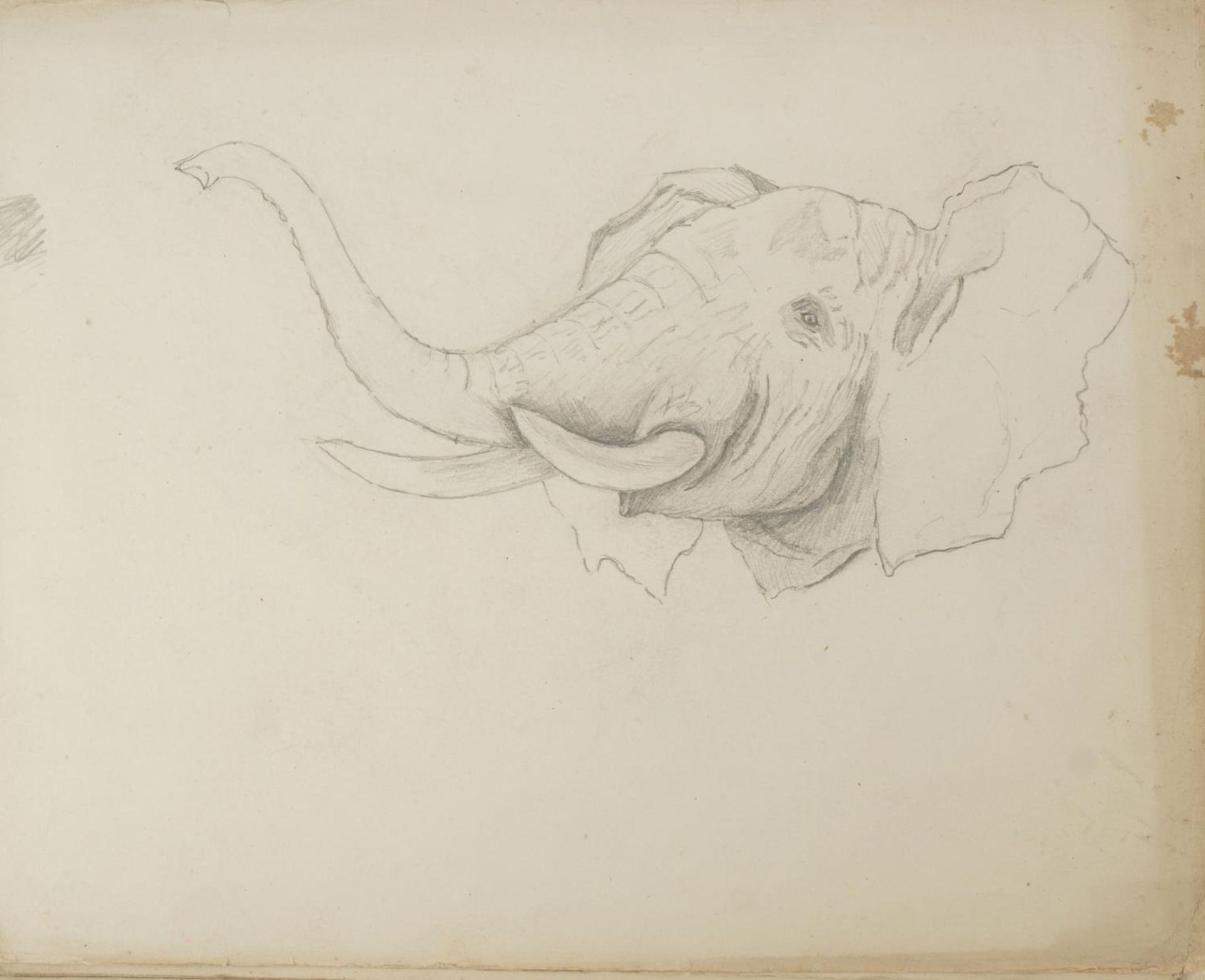 Four early 20th century sketchbooks housing various pencil sketches including animals and life - Image 9 of 9