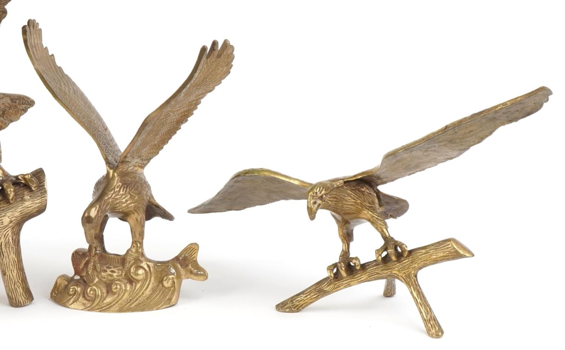 Three large brass eagles and a hand painted plaster eagle, the largest 61cm wide : For further - Bild 3 aus 6