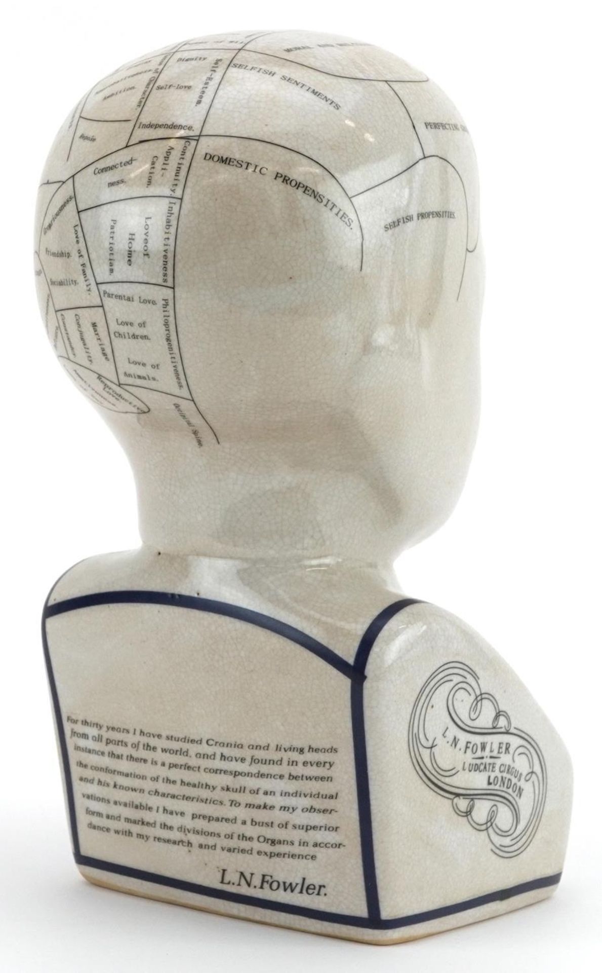 Decorative porcelain phrenology head after L N Fowler, 28.5cm high : For further information on this - Bild 2 aus 4
