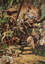 Jay A Ray - Leopard resting in a tree, oil on canvas board, mounted and framed, 78.5cm x 58.5cm
