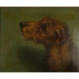 Portrait of a dog's head, 19th century oil on canvas board, framed, 29cm x 24cm excluding the