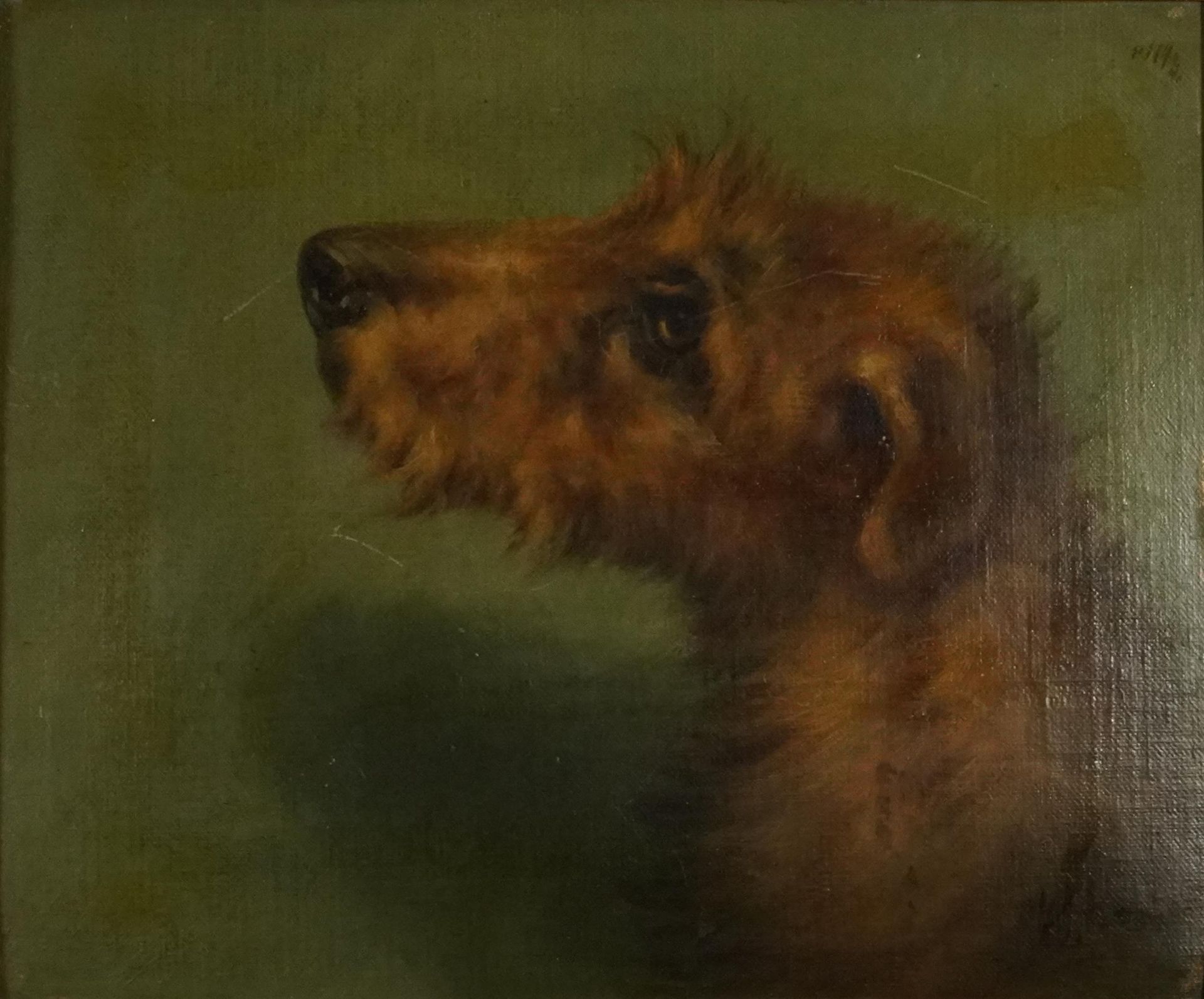 Portrait of a dog's head, 19th century oil on canvas board, framed, 29cm x 24cm excluding the