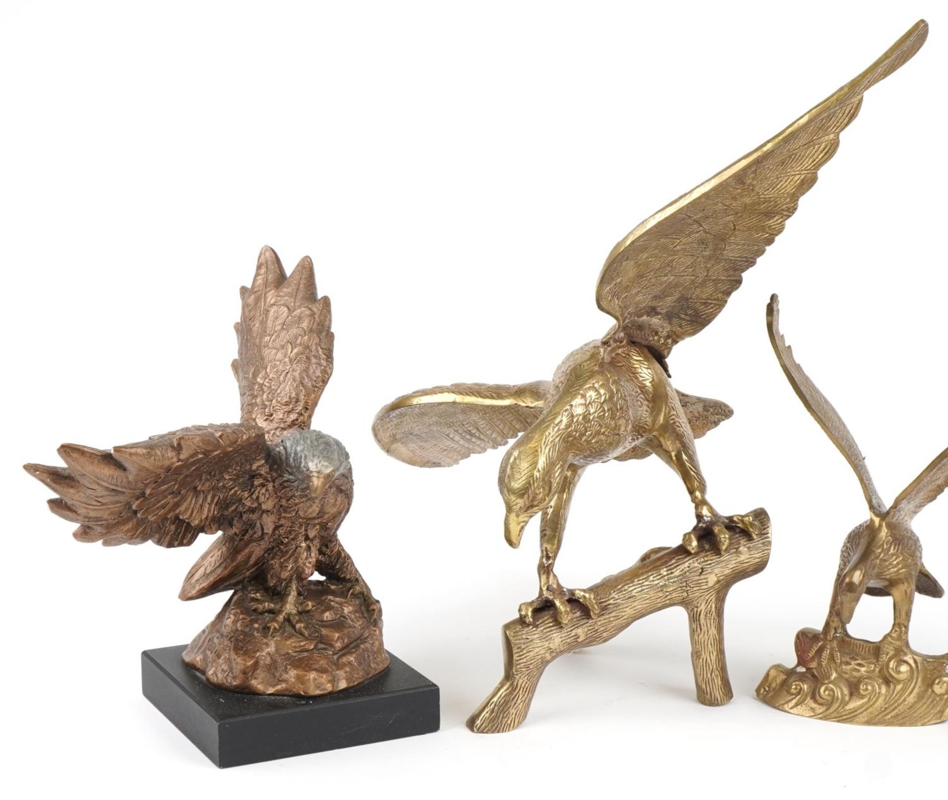 Three large brass eagles and a hand painted plaster eagle, the largest 61cm wide : For further - Bild 2 aus 6