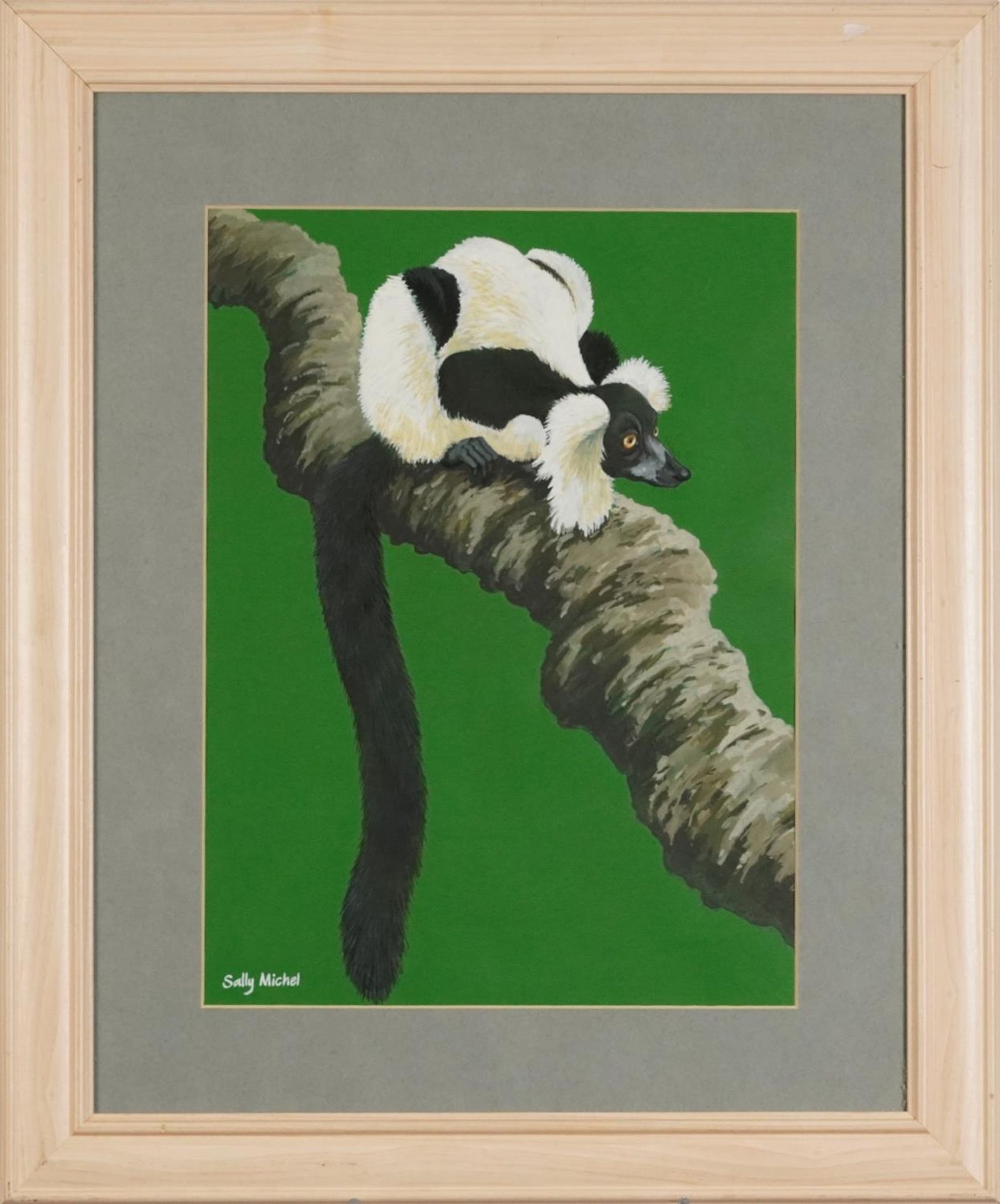 Sally Michel - Black and white ruffled lemur, signed gouache, At the Mall Gallery label verso, - Bild 2 aus 5