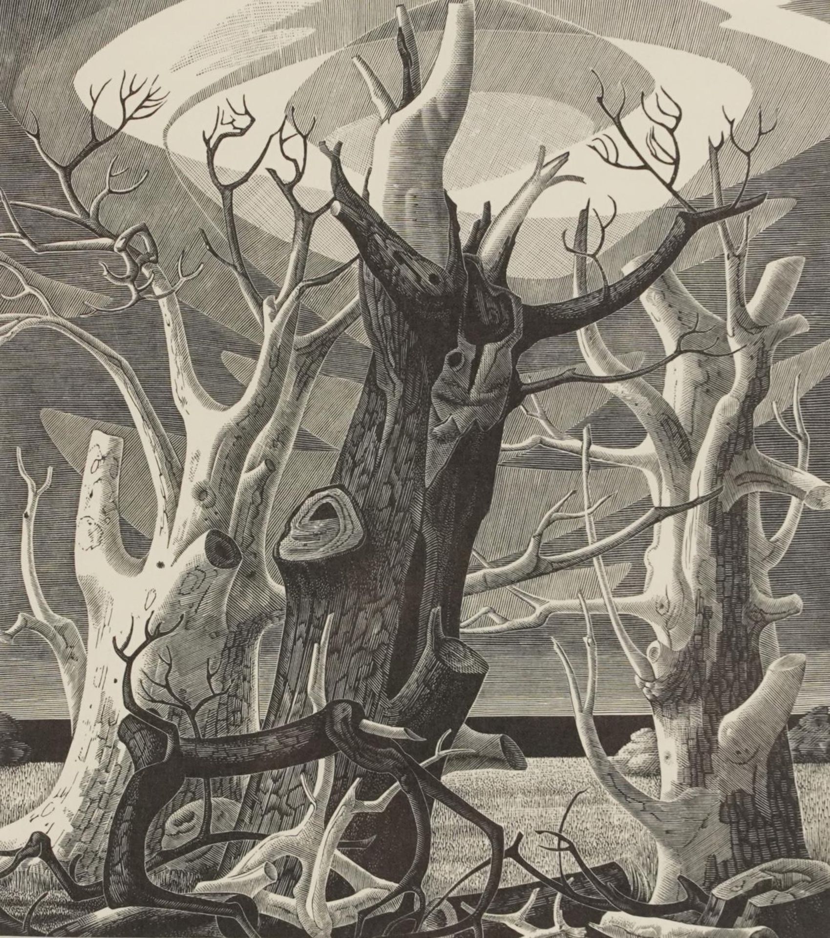 Monica Poole - Dead Trees Sheppey, wood engraving inscribed 1977 In the Florin Press 1983 verso,