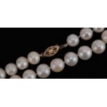 Cultured pearl single row necklace with 14ct gold clasp, 42cm in length, 38.3g : For further
