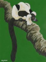 Sally Michel - Black and white ruffled lemur, signed gouache, At the Mall Gallery label verso,
