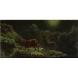 M Moore - Stag and two birds by moonlight, signed oil on canvas, James Magill label verso, mounted