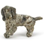 Austrian style cold painted bronze dog, 8cm in length
