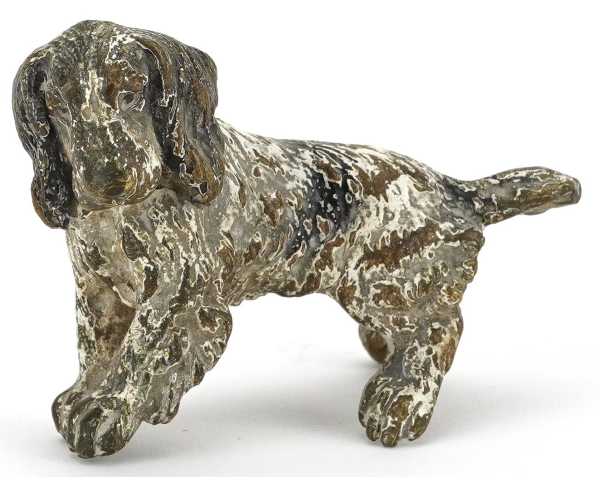 Austrian style cold painted bronze dog, 8cm in length