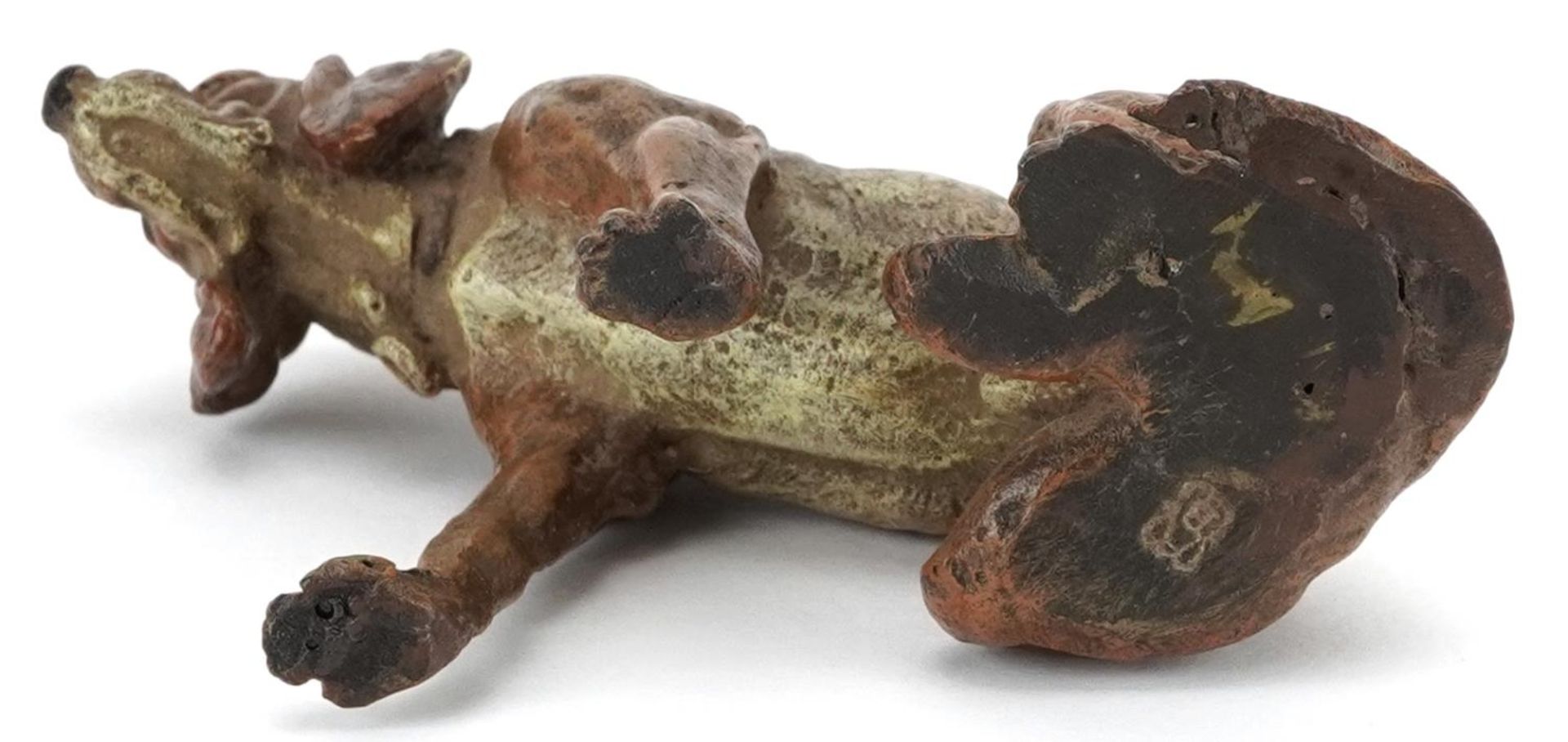 Austrian style cold painted bronze dog, 7.5cm in high - Image 3 of 4
