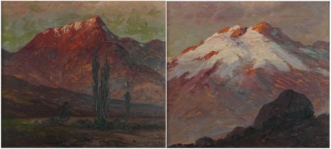 Alpine landscapes, pair of early 20th century oil on boards, both indistinctly signed, mounted and