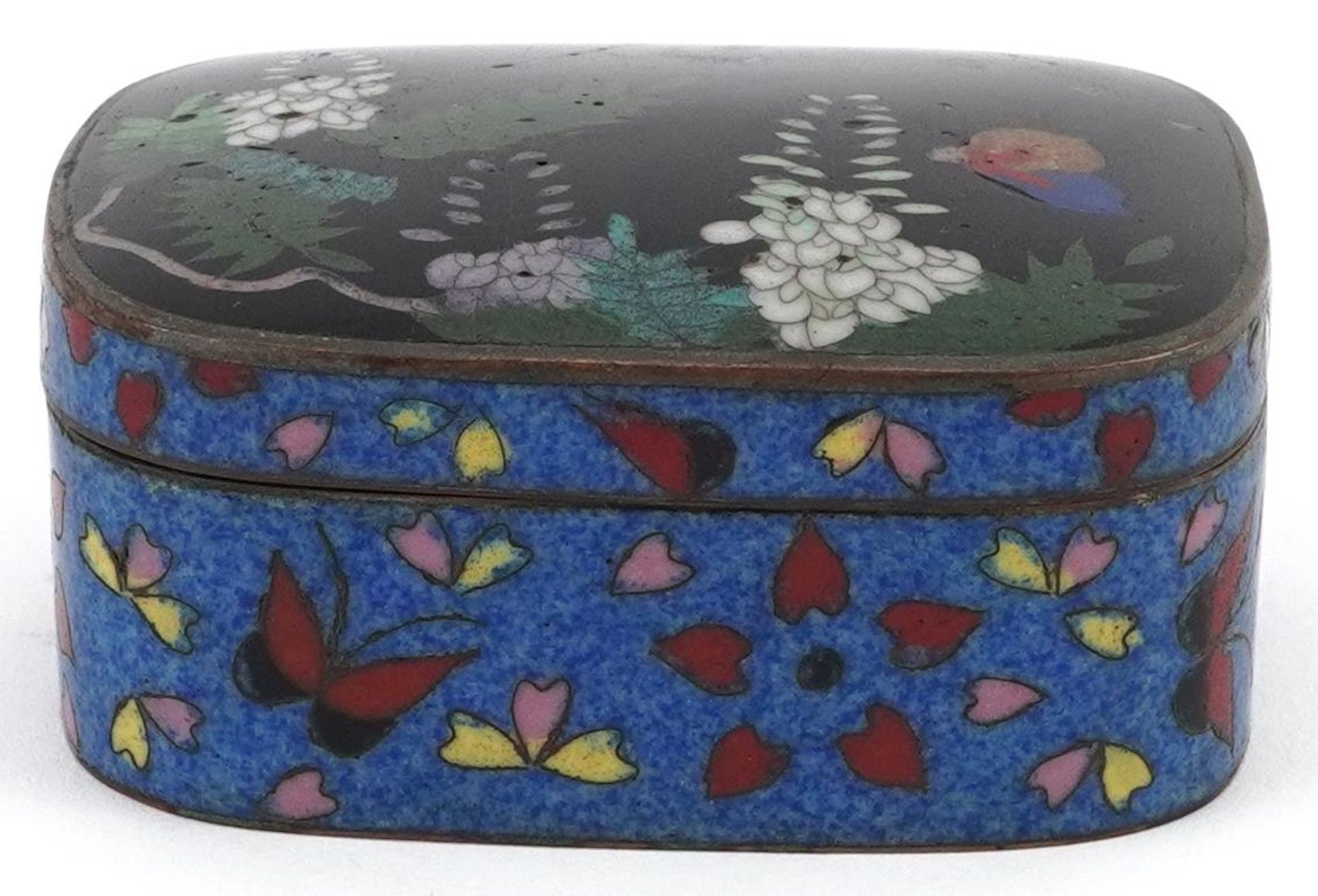 Japanese cloisonne box and cover enamelled with butterflies amongst flowers, 7.5cm wide - Bild 2 aus 8