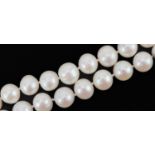 Single row cultured pearl necklace with silver clasp, each pearl approximately 9.5mm in diameter,