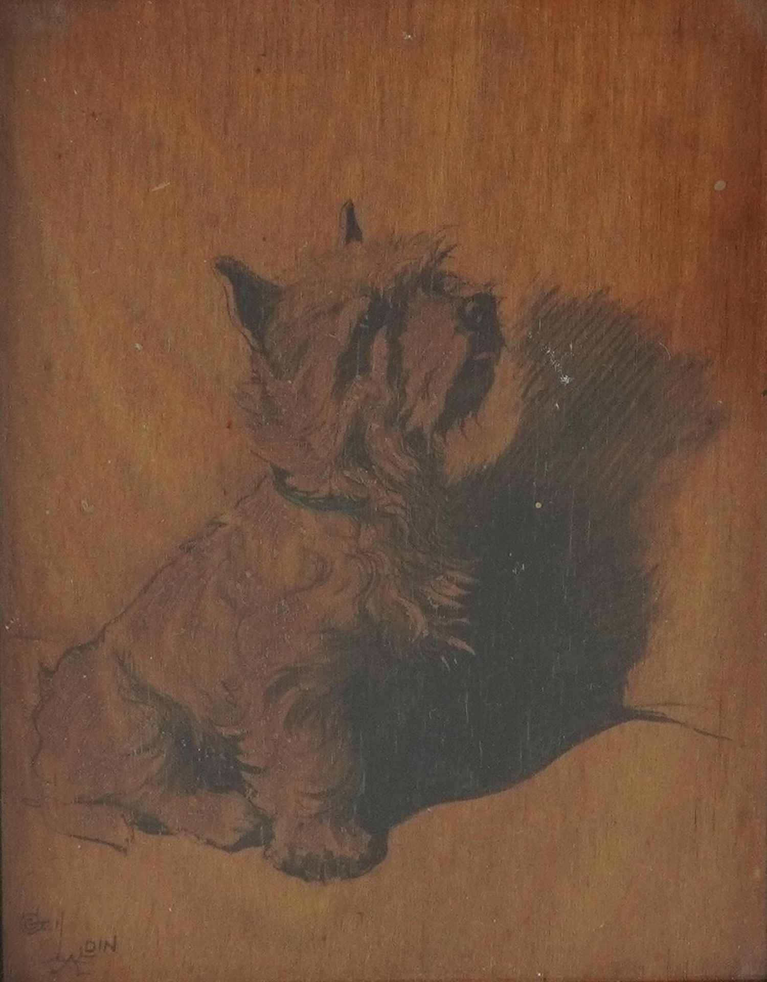 Cecil Aldin - West Highland Terrier, Slickerson Reading on wood panel, mounted, framed and glazed,