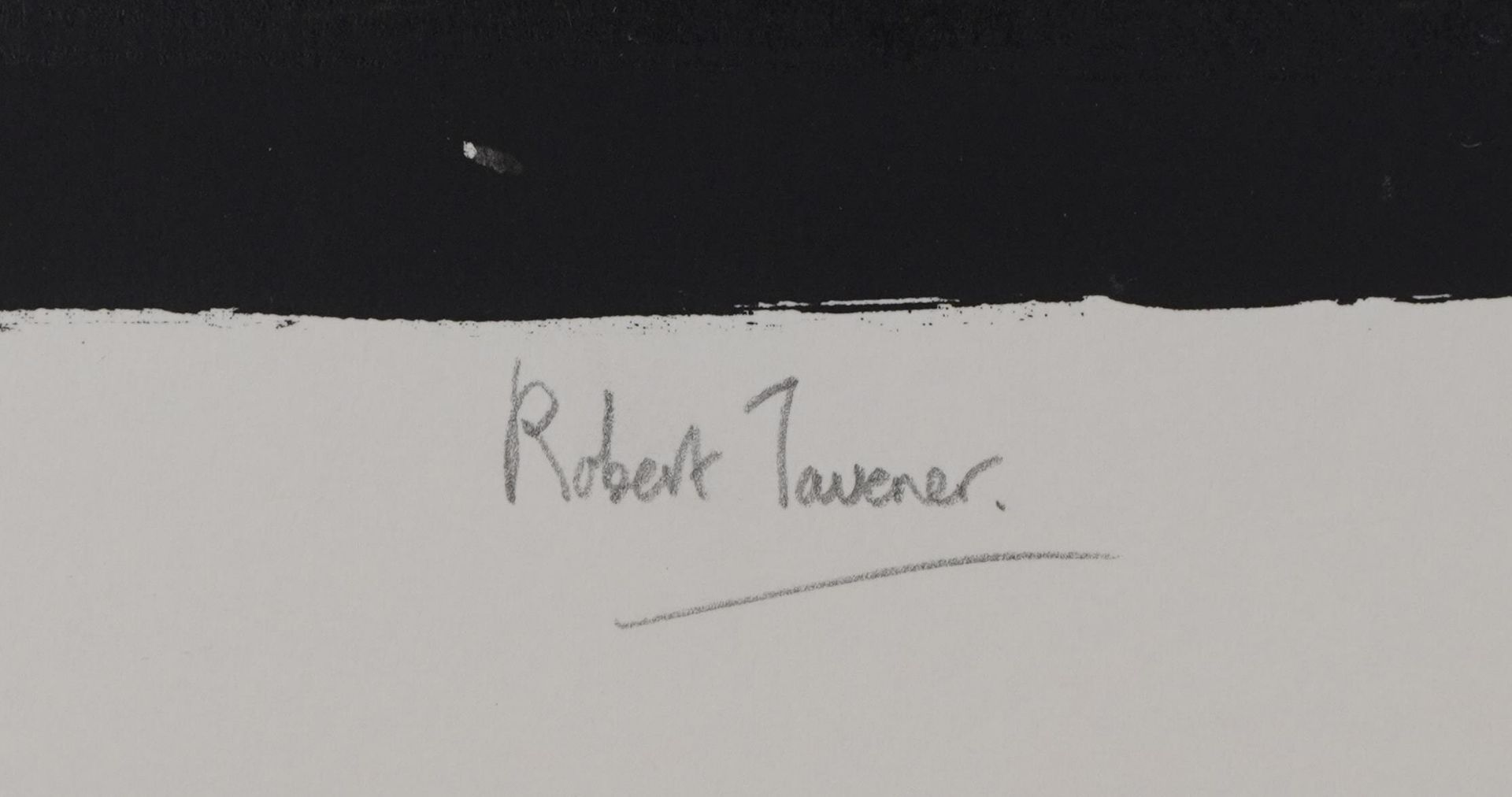 Robert Tavener - York Minster, pencil signed screen print, limited edition 62/75, unframed, 80cm x - Bild 2 aus 3