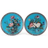 Matched pair of Japanese cloisonne plates enamelled with cranes and a bird amongst flowers, each