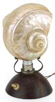 Early 20th century Adaman Islands conch shell and coconut table lamp, 19cm high