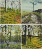 Steven Townsend - Woodland and Out to Sea, set of four gouaches, mounted, framed and glazed, each