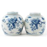 Pair of Chinese blue and white porcelain ginger jars with covers hand painted with qilins amongst