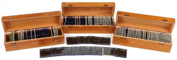 Large collection of social history interest European magic lantern glass slides arranged in three