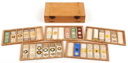 Collection of 19th century and later microscope prepared glass slides housed in a pine case with
