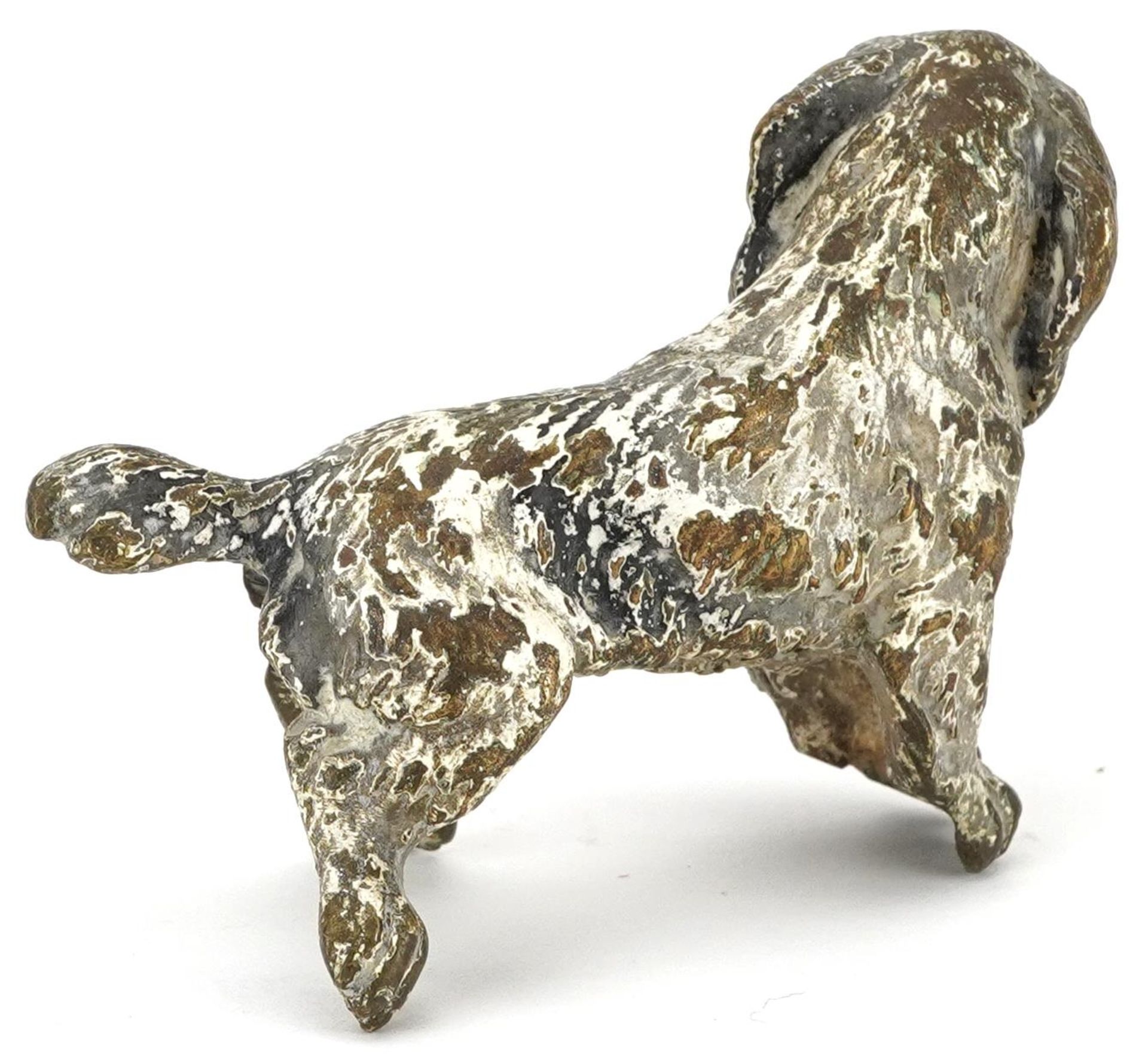 Austrian style cold painted bronze dog, 8cm in length - Image 2 of 3