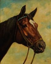 Erhardt - Horse Head, oil on canvas, inscriptions verso, mounted and framed, 50cm x 39.5cm excluding
