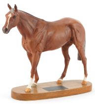Beswick Connoisseur model of race horse Grundy raised on an oval plinth base, 35cm in length