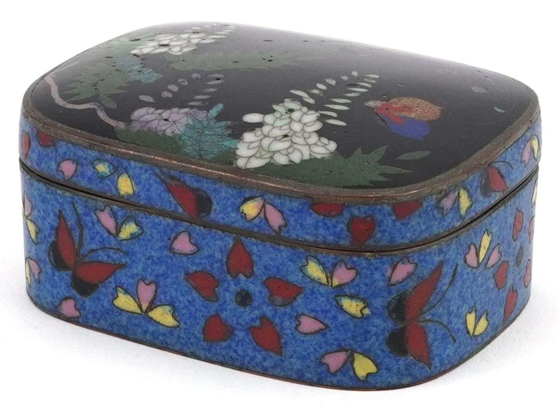 Japanese cloisonne box and cover enamelled with butterflies amongst flowers, 7.5cm wide