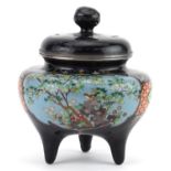 Japanese cloisonne tripod censer with silver mounts, finely enamelled with panels of birds amongst